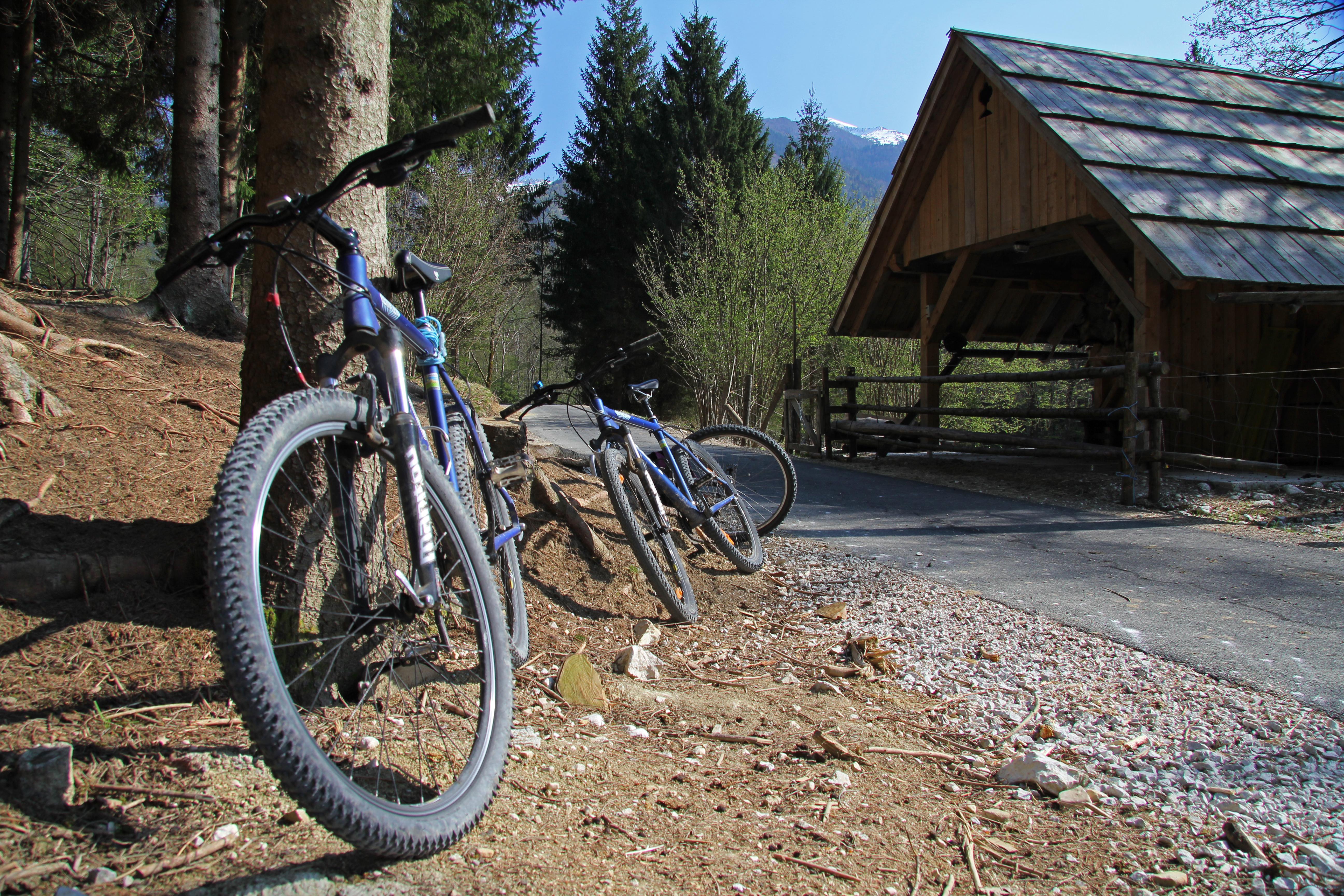 Bohinj Eco Hotel Bohinjska Bistrica Exterior foto